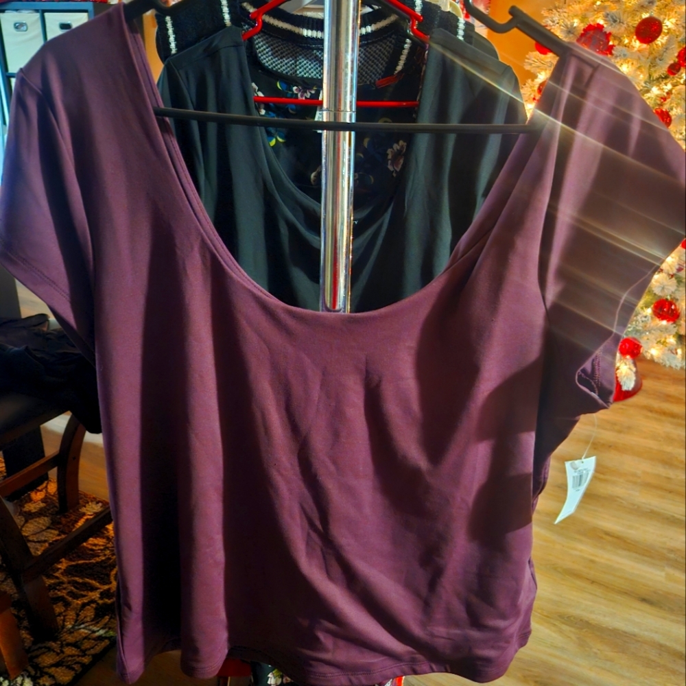 Ladies top